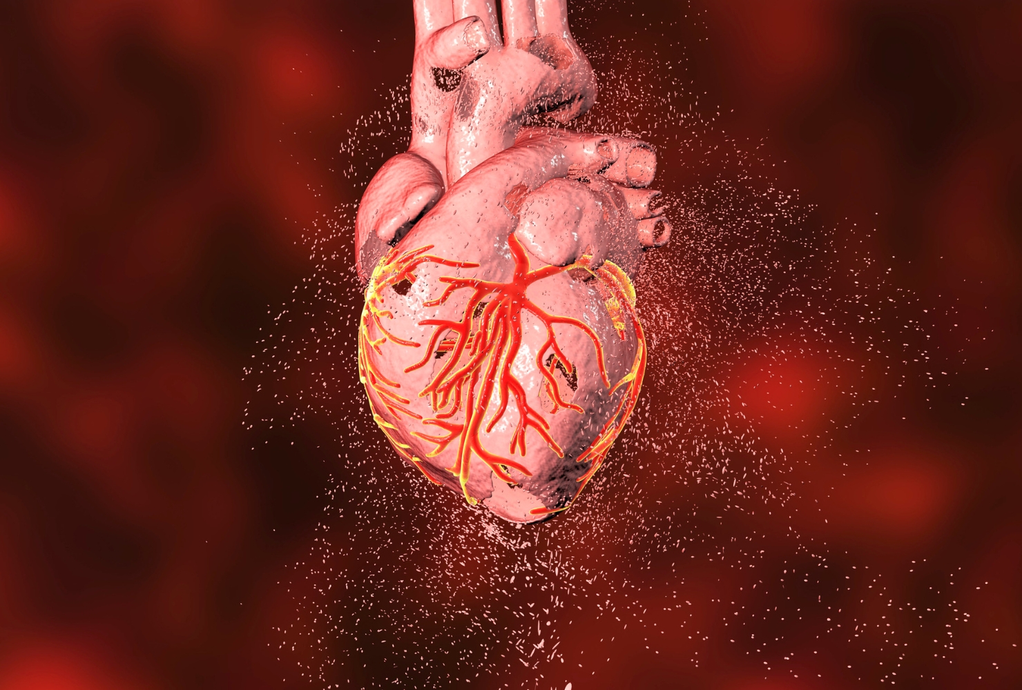 Cardiologie - Despre Sănătatea Inimii